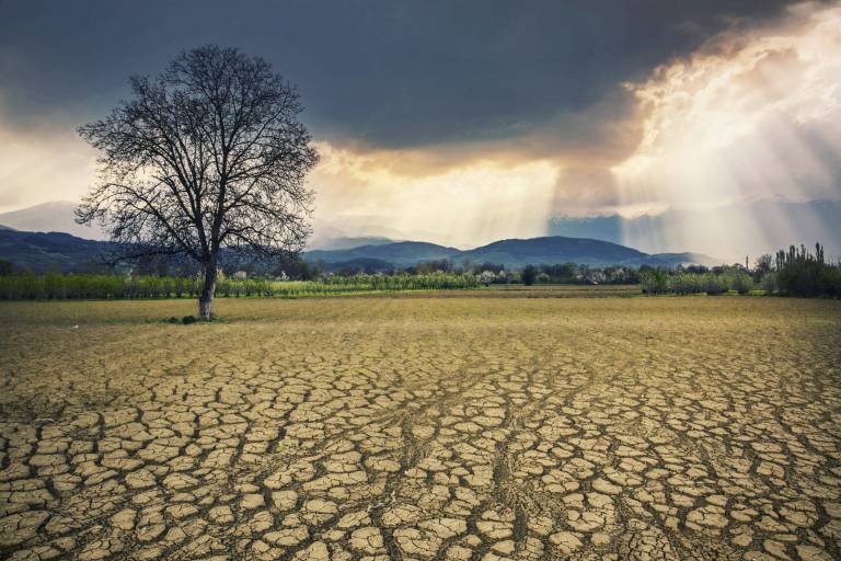 Image of cracked ground in a drought, with a bare tree in the background