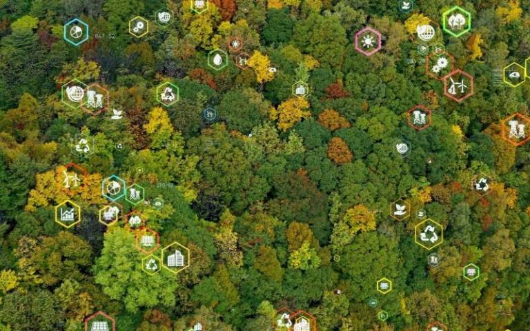 An aerial photo of a forest.