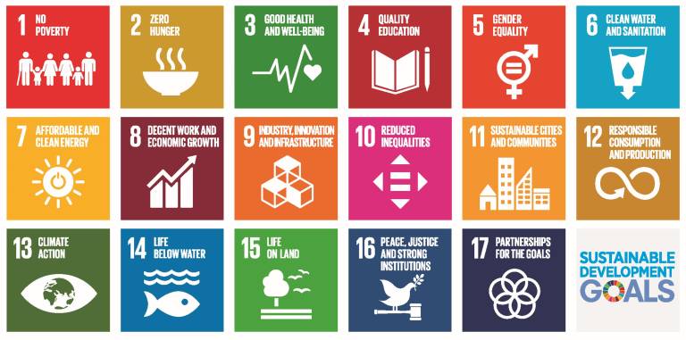 Illustration of the Sustainable Development Goals icons