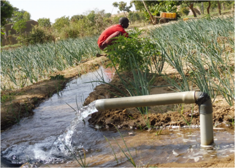 Small-scale irrigation of an onion crop by groundwater from an alluvial aquifer along the River Goulbi de Maradi in southeastern Niger 