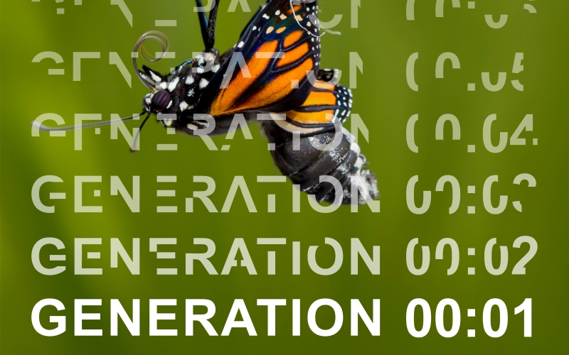 Image of a hopeful butterfly with Generation One text