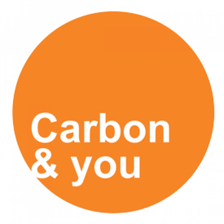 carbon and you 2