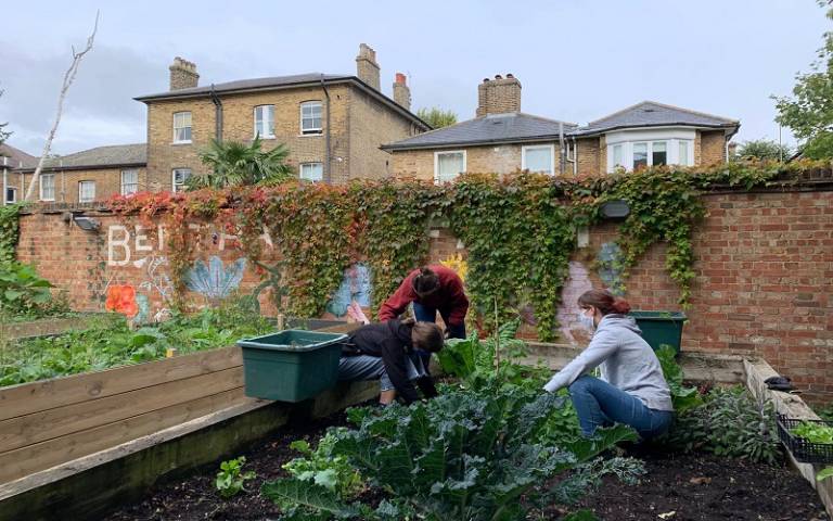 Three people weeding a vegetable bed, with vegetables growing in the foreground and an ivy covered wall in the background with the name Bentham's Farm painted on.