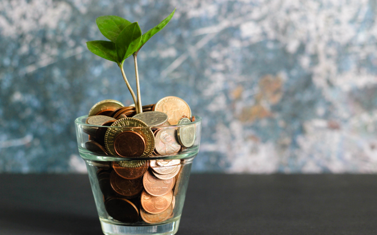 Small plant growing from a cup of coins