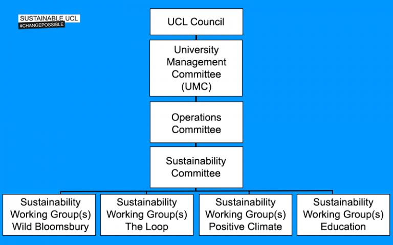 Organigram of Sustainable UCL's new governance structure as of 2022