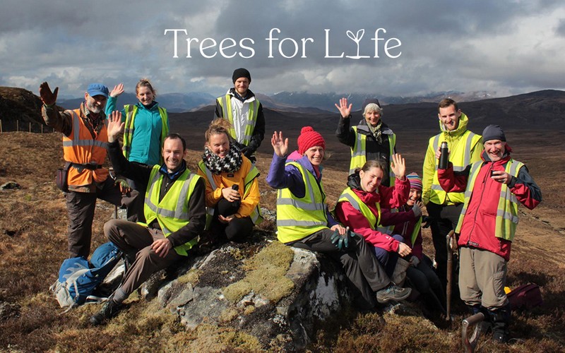 Photograph of Trees for Life volunteers