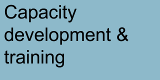 Capcity development & training