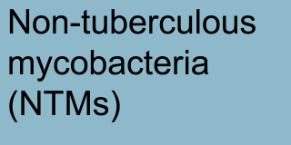 Non-tuberculous mycobacteria