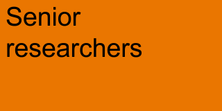 Senior Researchers