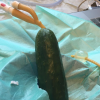 Catheterised cucumber