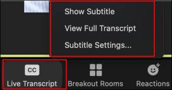 Screen where you change how transcripts are viewed in Zoom