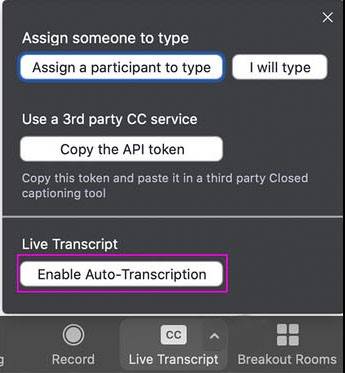 Screen where you enable auto transcription in Zoom