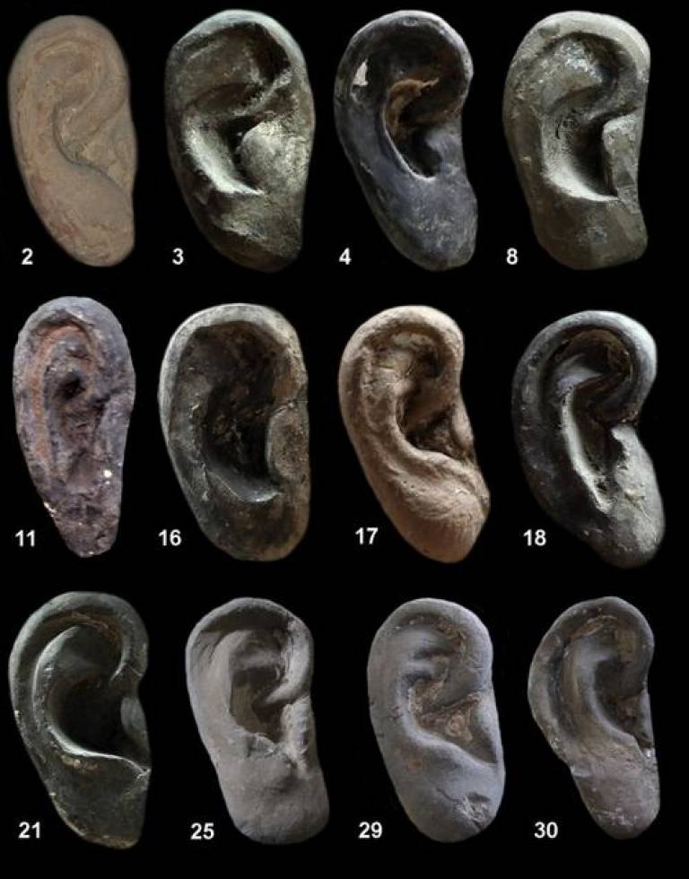 3d models of 12 warrior ears