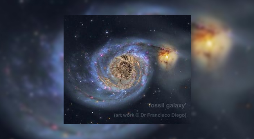 Fossil Galaxy