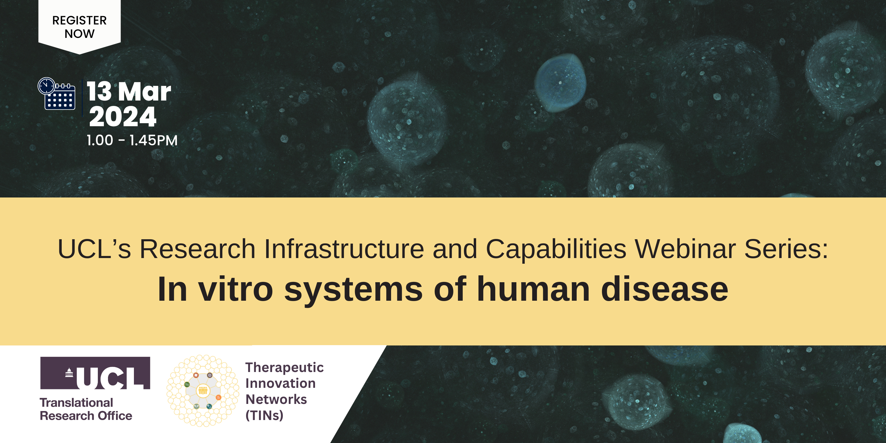 13 Mar 2024◾Webinar: In Vitro Systems of Human Disease