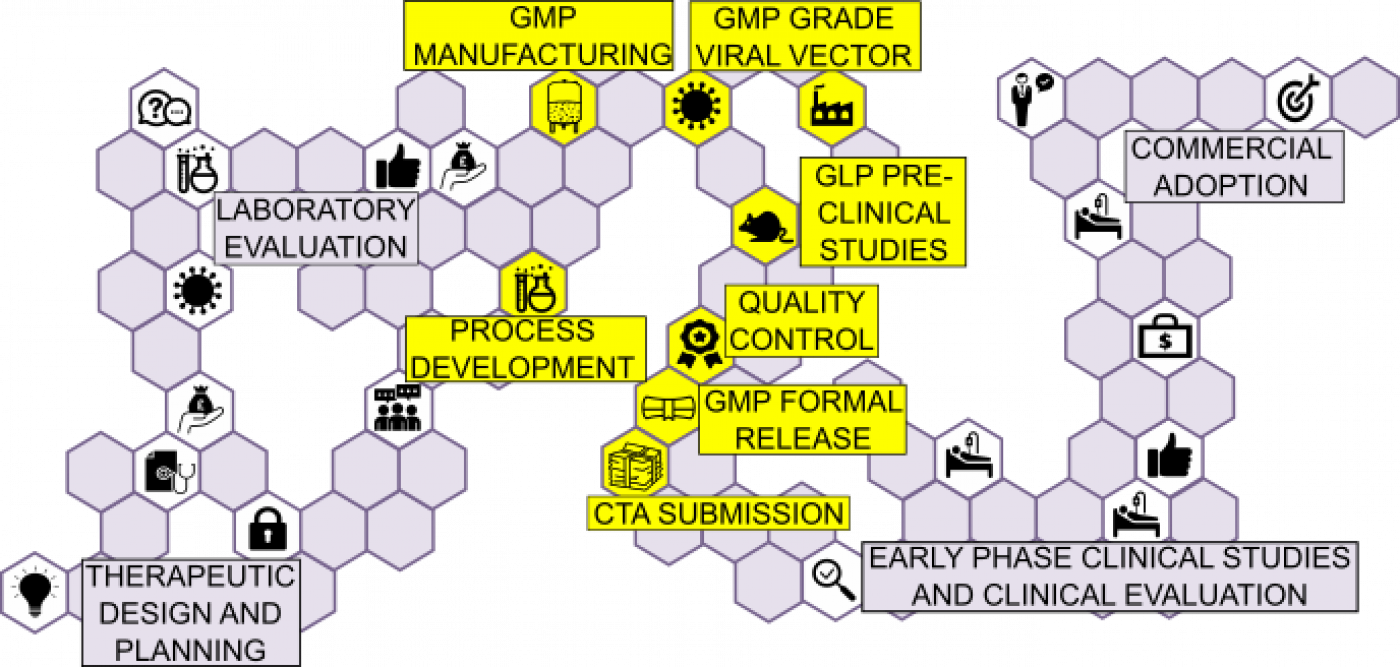 Cell gene therapies roadmap