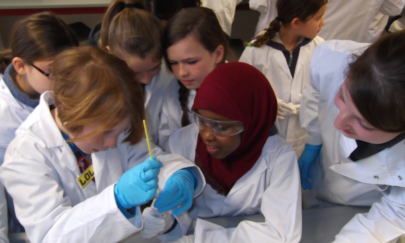 Gayhurst Community School visit the teaching labs at UCL