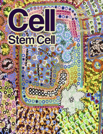 John Walter's artwork graces the cover of the December 2018 issue of Cell Stem Cell