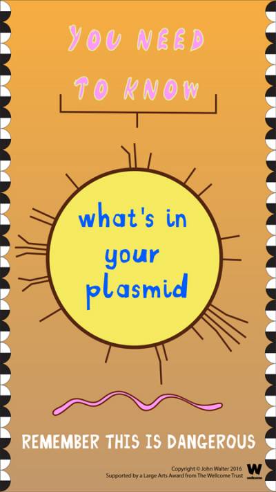 'Know your plasmid' posters by John Walter. Poster No 4: 'What is in your plasmid?'