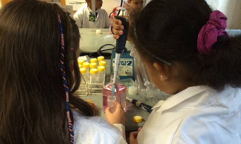 Children from Carlton School learn pipetting as part of the tissue culture activity