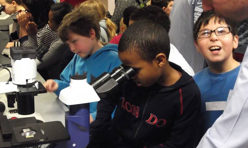 Children from Gayhurst Community School study cells using a microscope