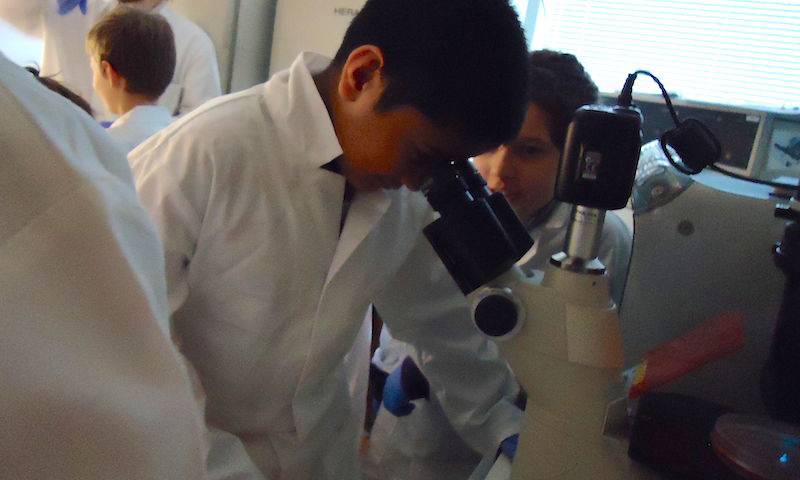 Children study cells using a microscope