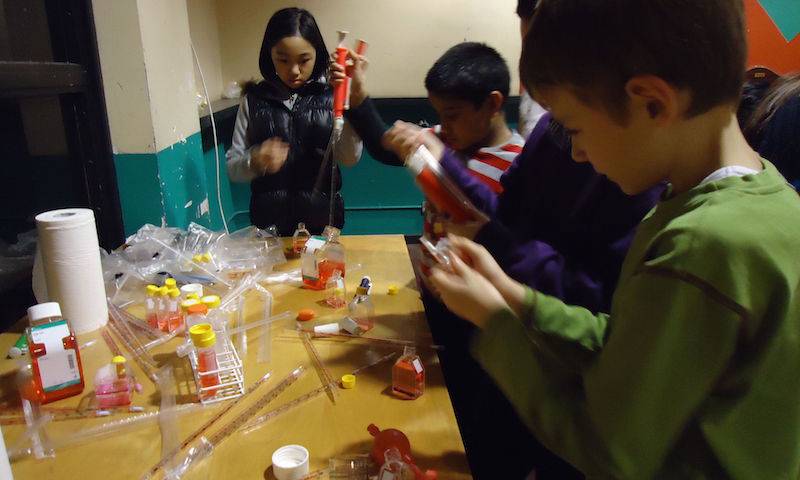 Children from learn pipetting as part of the tissue culture activity