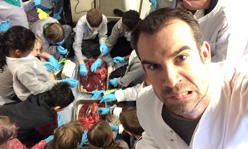 Dr Chris van Tulleken helps out with an activity demonstrating how pig organs work