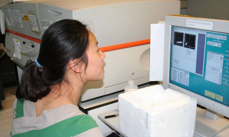 Lab manager Imogen Lai completes FACS analysis on the LSRII 2006