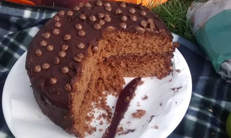 Homemade cake at the Towers Picnic in Reagents Park, 2016