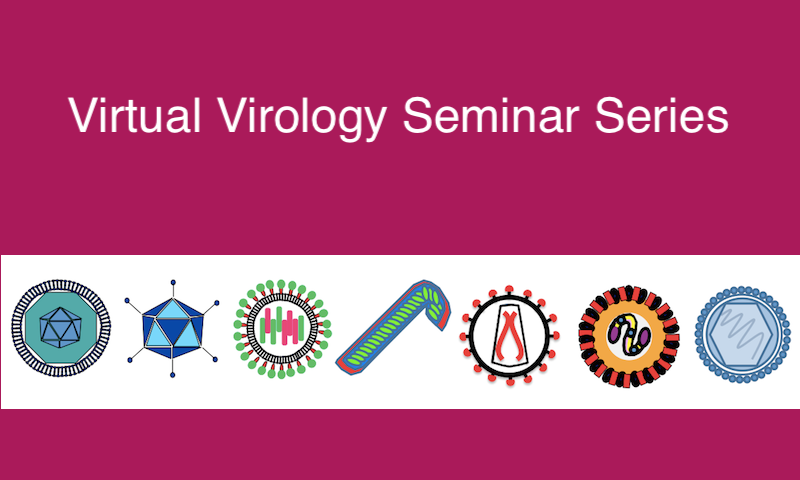 Virtual Virology