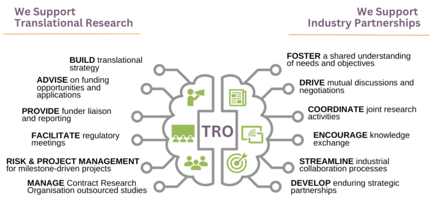 A graphic to show the support provided by the UCL TRO