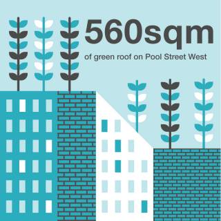 560 square metres of green roof on Pool Street West