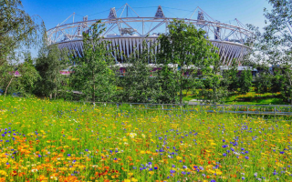 floral_olympic_park_3