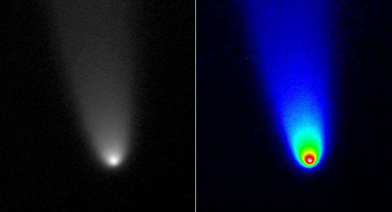 Comet McNaught (C/2006 P1) taken with the Radcliffe Telescope at UCLO on 10 Jan 2007.