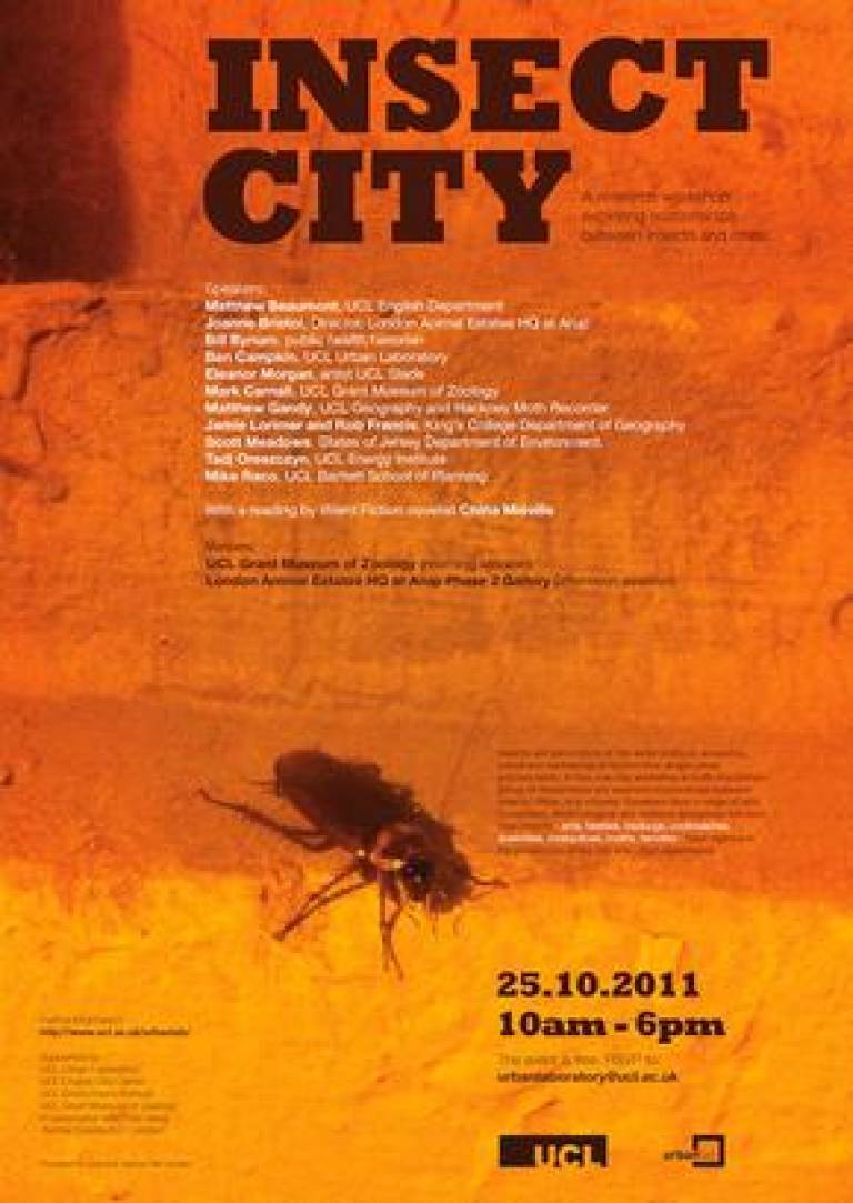 Insect City