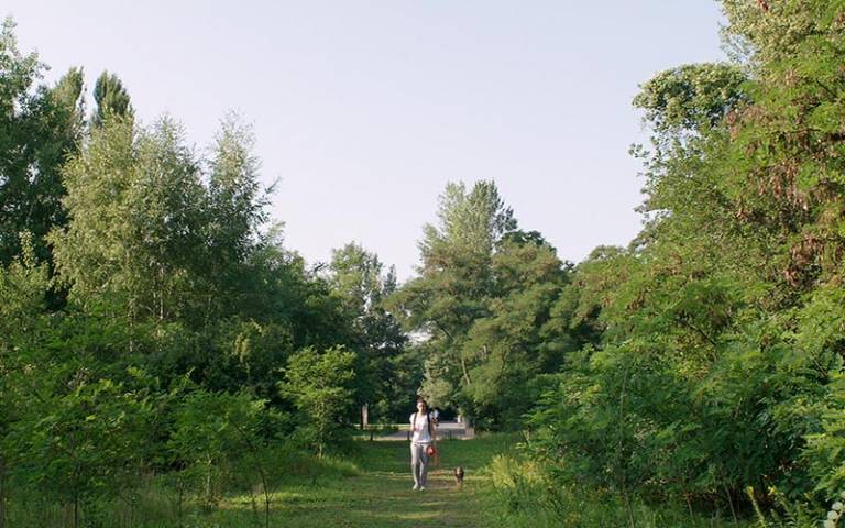 Gleisdreieckpark, still from the film 'Natura Urbana'