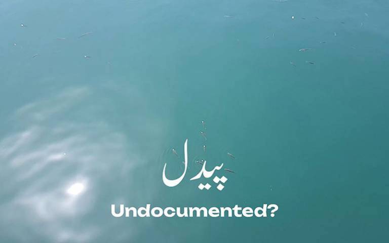 Undocumented 