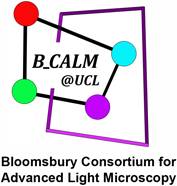 B_CALM Logo