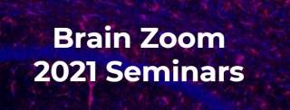 Brain zoom seminars