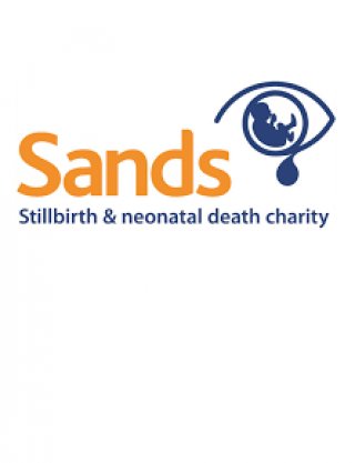 Stillbirth and neonatal death charity