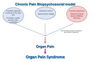 The Pain Biopsychosocial Model 