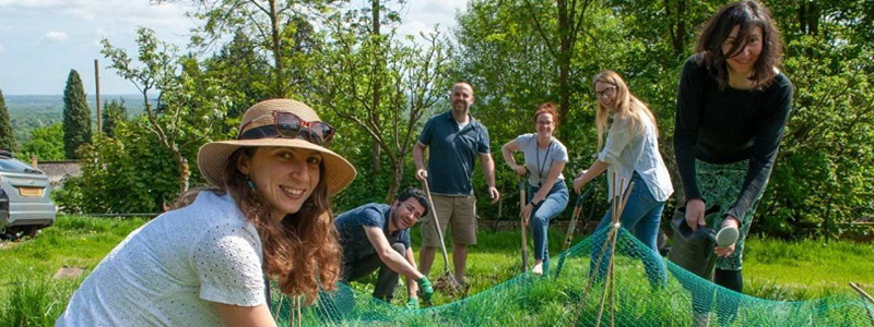 Group of staff in the community garden