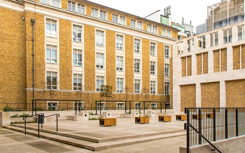 Wilkins Terrace at UCL