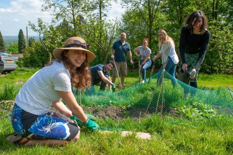 Student volunteers are needed to help audit Green Impact: UCL's environmental accreditation programme