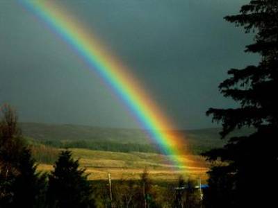 rainbow1…