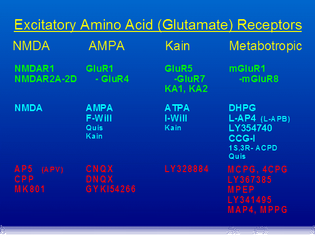 Amino Acid Receptor Scheme