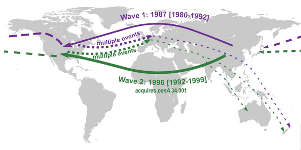 Map showing dispersal and successful establishments of Wave 1 and Wave 2. Wave1 emerged and spread before the acquisition of ESC RRS alleles. Wave 2 had acquired the penA RRS allele 34.001 prior to its global expansion. A founder event in America was important for its further and repeated introduction to Europe.