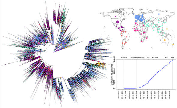 Large-scale phylogenetic reconstructions of SARS-CoV-2 aided by over 100 thousand genomes generated by labs and public health agencies around the world.