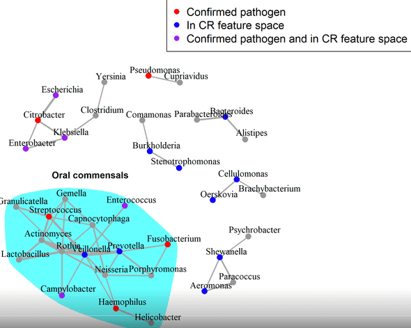 Corrected microbial co-occurrence network for genera assigned in sepsis metagenomes. Input data correspond to the Karius-SD feature space. The edges in this network represent those in the septic network that were not present in the healthy network. The widths of edges are weighted by the strength of the SparCC correlations. Nodes are coloured as per the legend at the top, with ‘culture-confirmed’ pathogens those experimentally shown to be implicated in sepsis. The layout of the graph was generated using the Fruchterman–Reingold algorithm.
